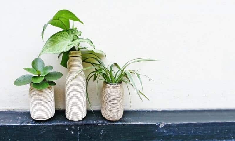 DIY Planters: How to Create Unique Pots for Your Indoor Plants