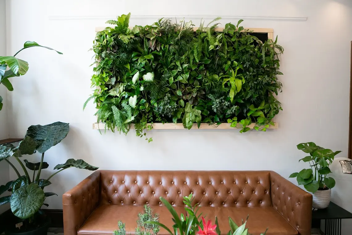 How to Create a Stylish Indoor Plant Wall Using Simple Materials