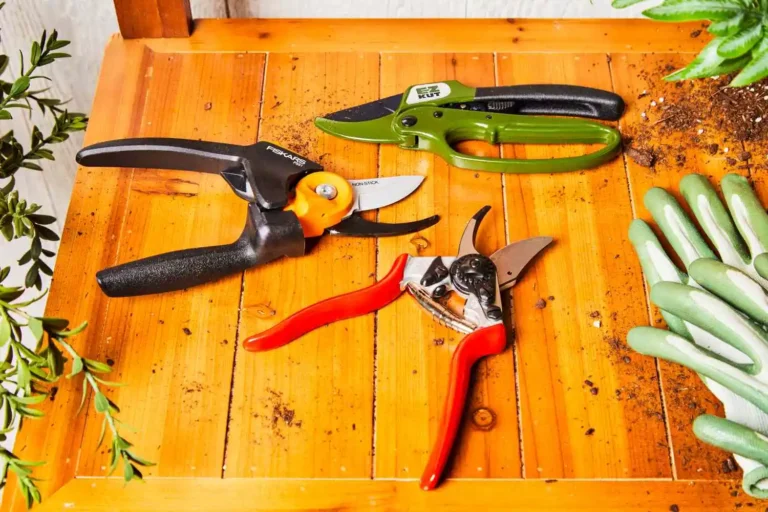 Best Pruning Tools for Maintaining Your Apartment Plants