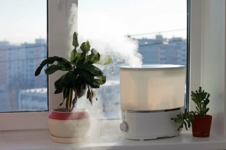 How to Use Plant Humidifiers to Improve Indoor Air Quality