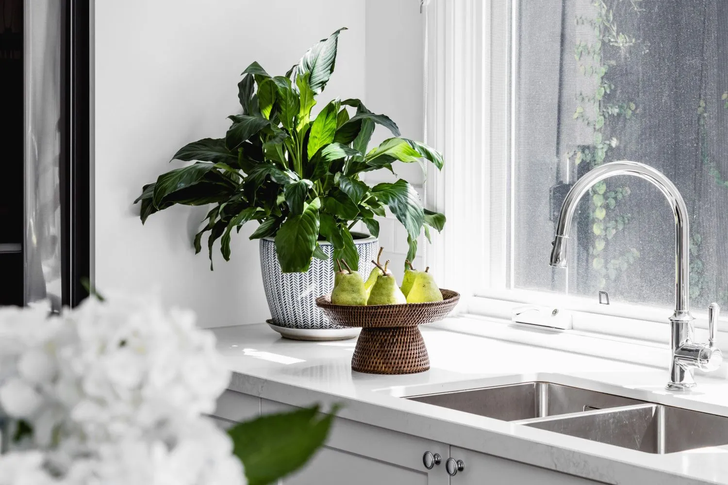 Kitchen Plants That Thrive in a Warm, Humid Environment