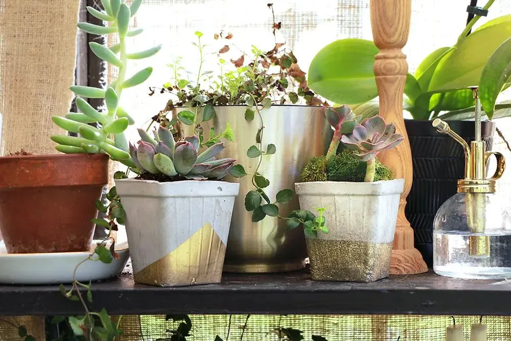 DIY Planters: How to Create Unique Pots for Your Indoor Plants