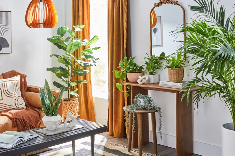 Top Tips for Creating Stunning Plant Arrangements in Your Home