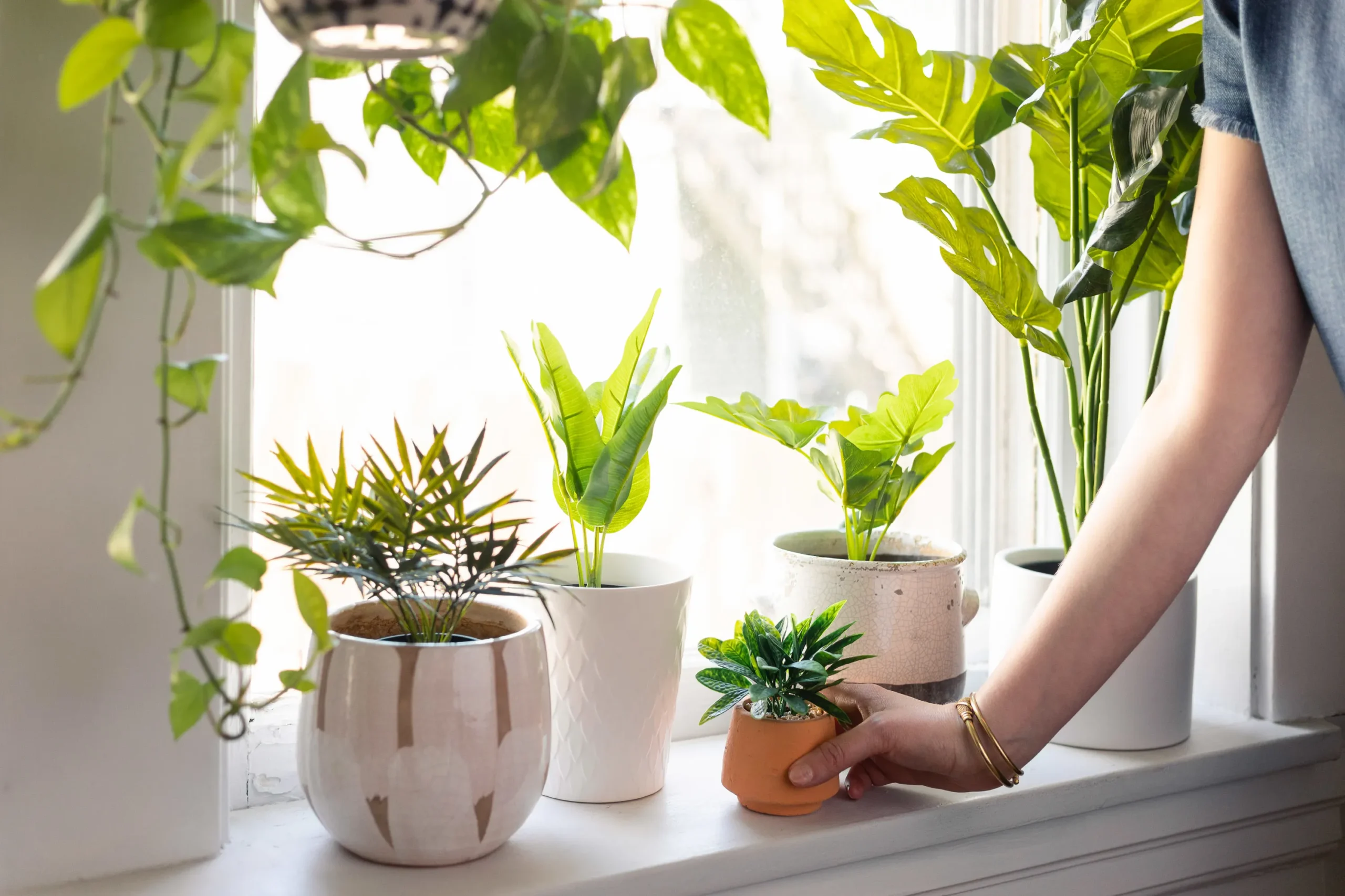 Creative Plant Arrangements for Your Apartment’s Entryway