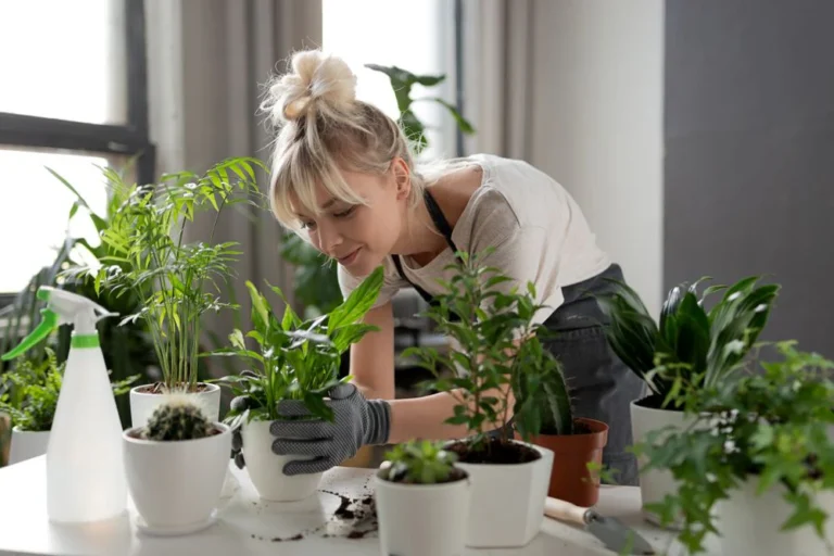 Essential Guides for Beginners Growing Indoor Plants