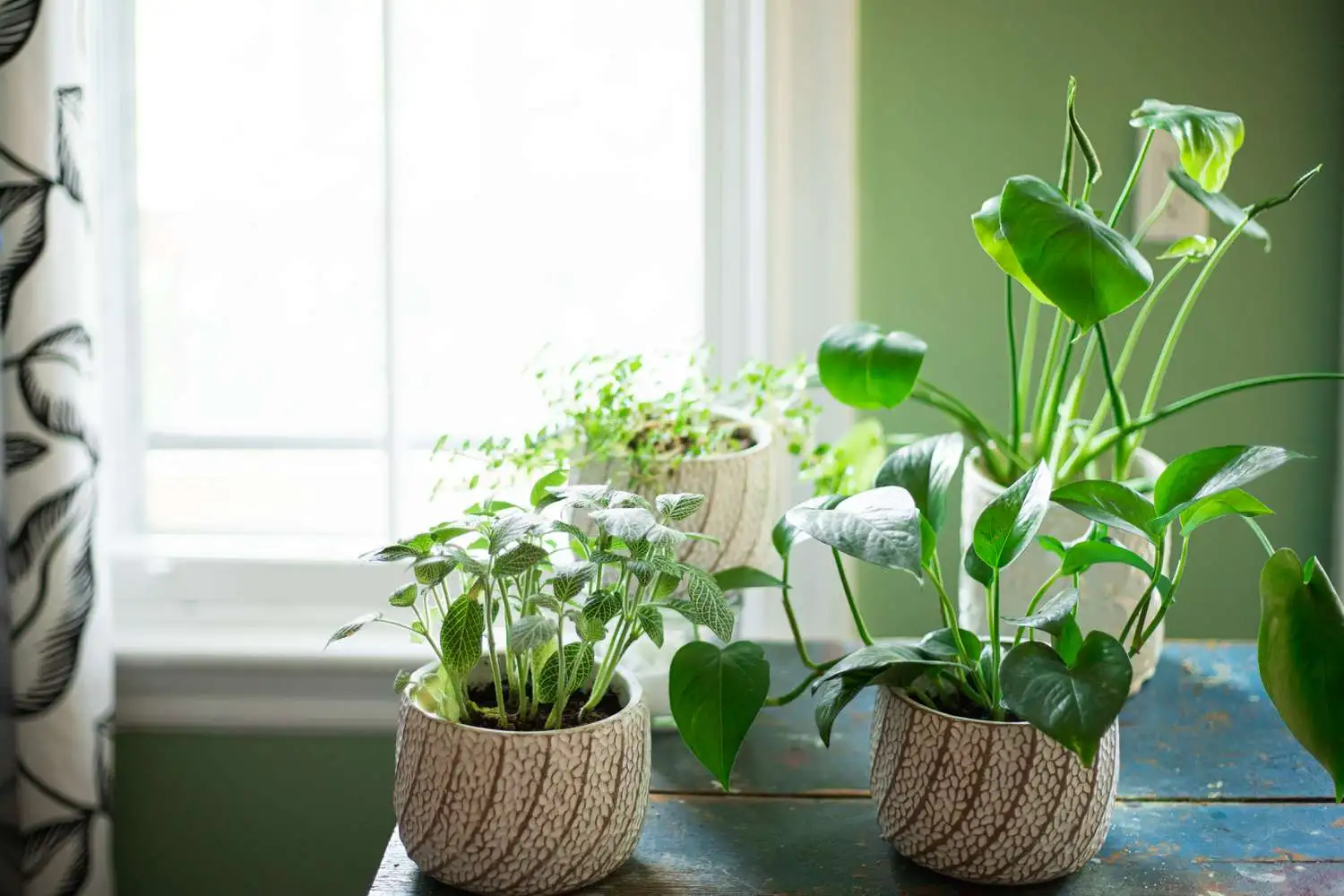 How to Select the Right Plant Lights for Your Apartment