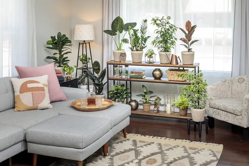 Autumn Plant Decor Ideas for a Cozy Apartment