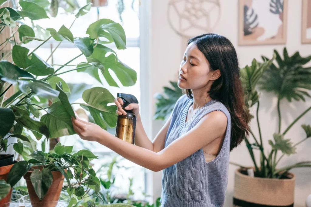 How to Avoid Common Seasonal Mistakes with Indoor Plants