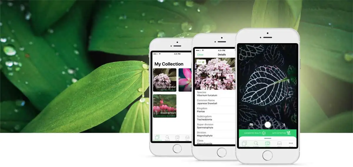 Top 5 Apps for Managing Your Apartment Garden