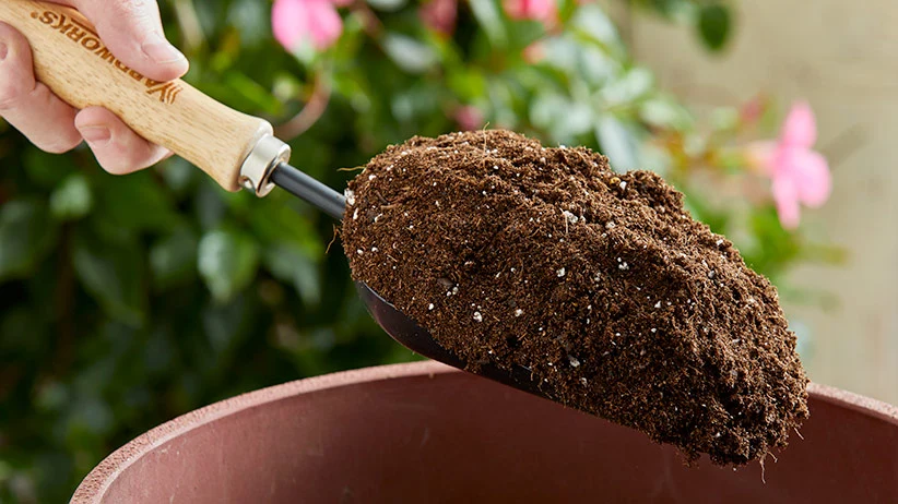 Top 10 Essential Tools for Apartment Gardeners