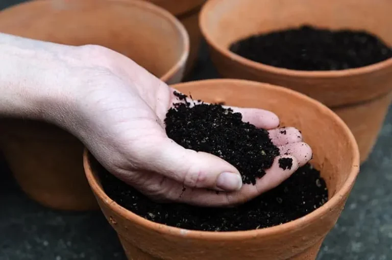 How to Create the Perfect Potting Mix for Apartment Plants