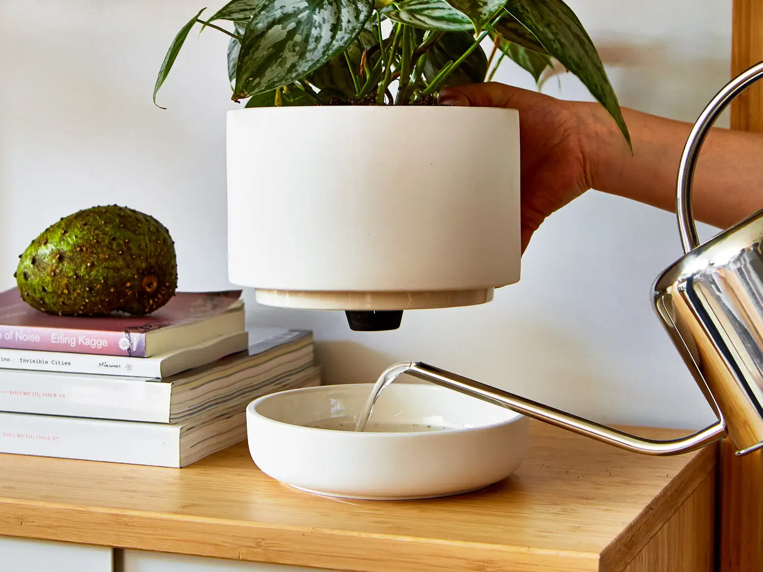 Top 10 Stylish Planters for Modern Apartment Living