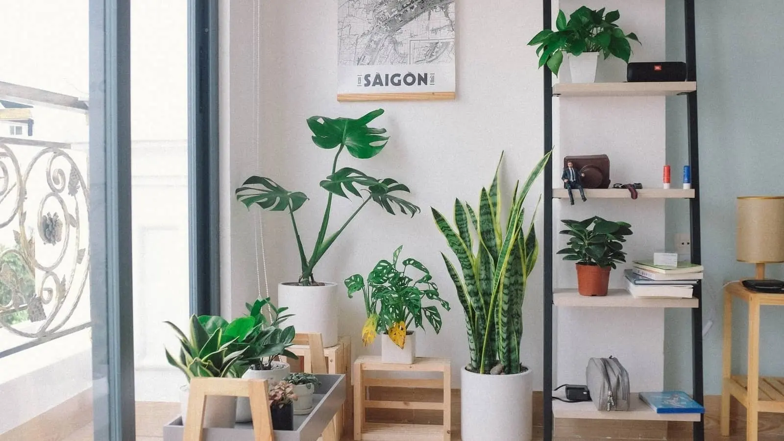 How to Create a Green Corner in Your Apartment