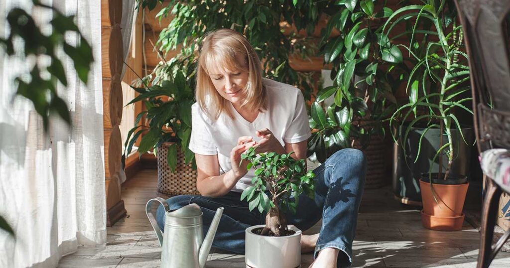 Signs Your Indoor Plants Are Overwatered and How to Fix It