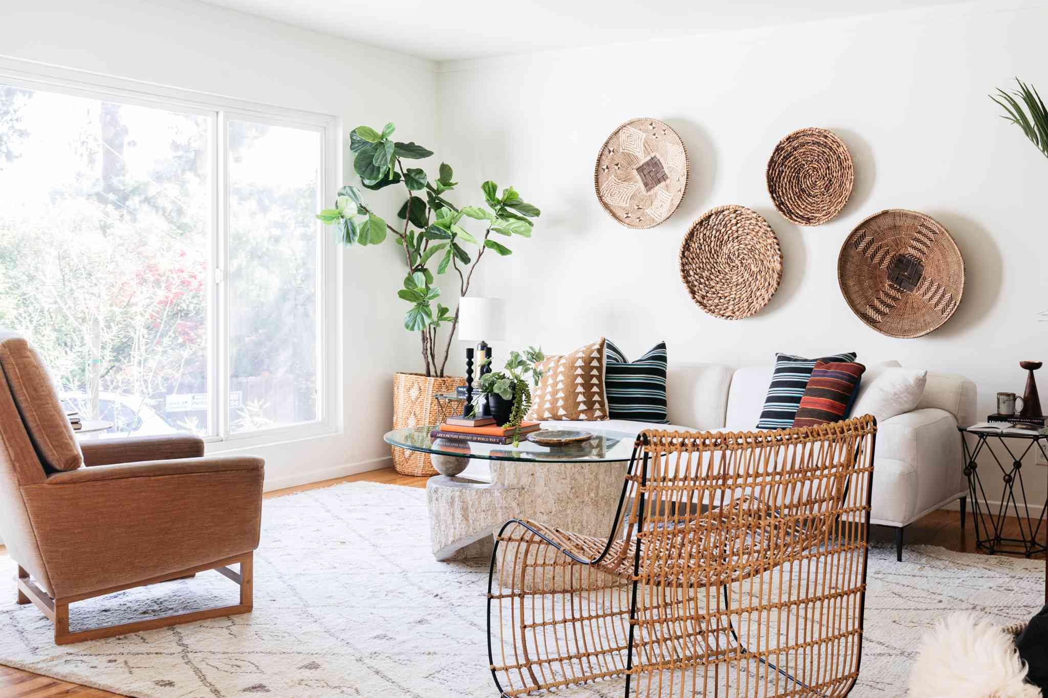 Best Plants for Living Room Decor: Top Picks for Your Space