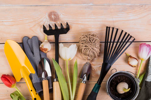 Must-Have Tools for Indoor Plant Care in Small Apartments