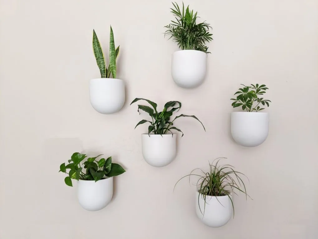 Creative DIY Projects for Indoor Plant Displays