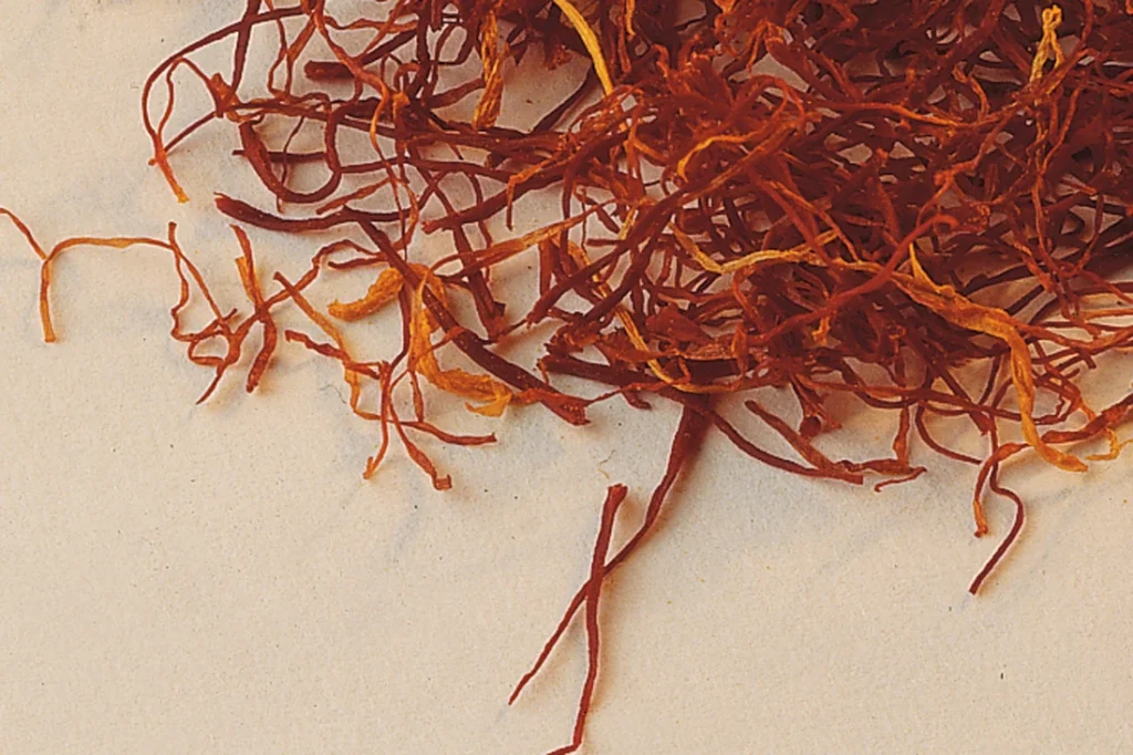 How To Grow Saffron