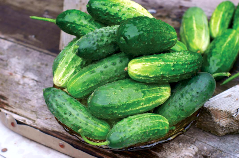 How To Grow Cucumbers In Pots