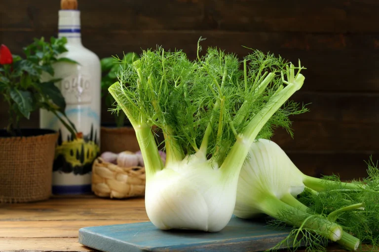 How To Grow Fennel